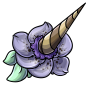 Narwiscus Flower
