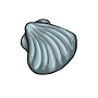 Tiny Clam Shell