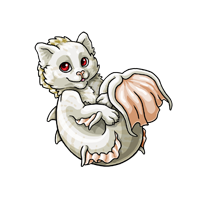 albino baby